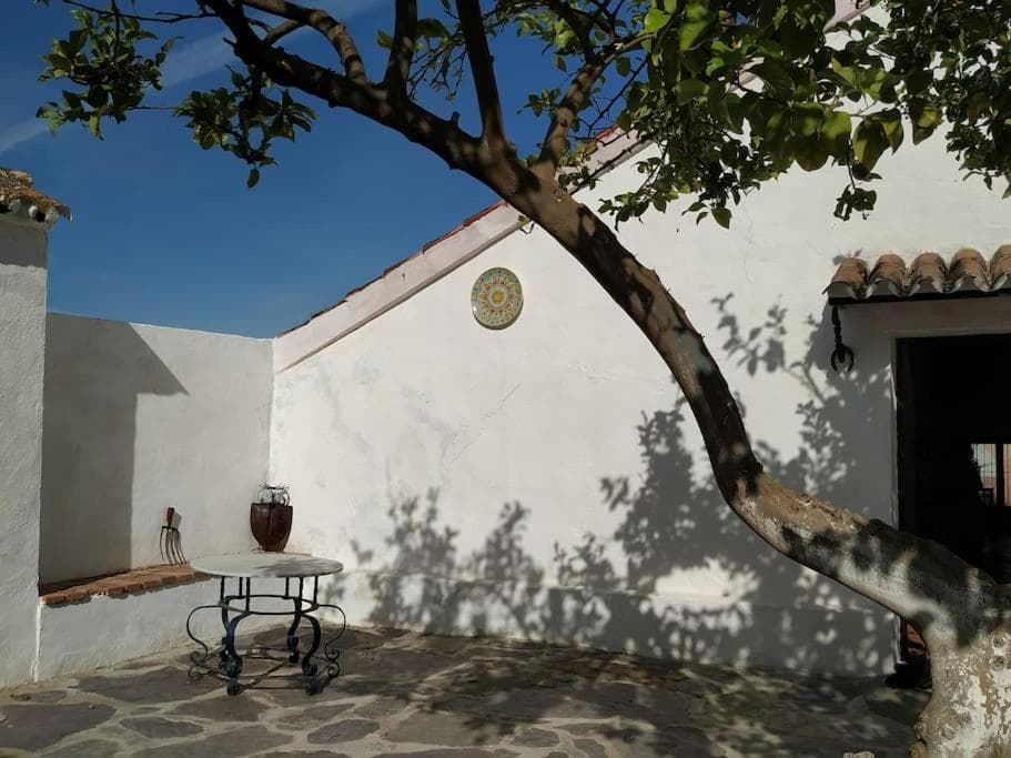 Casa Rural con Piscina y Olivar en Montellano 5