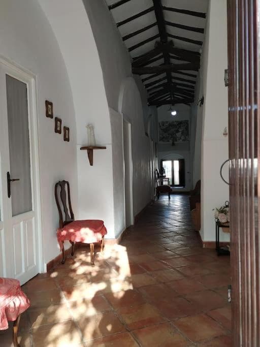 Casa Rural con Piscina y Olivar en Montellano 10
