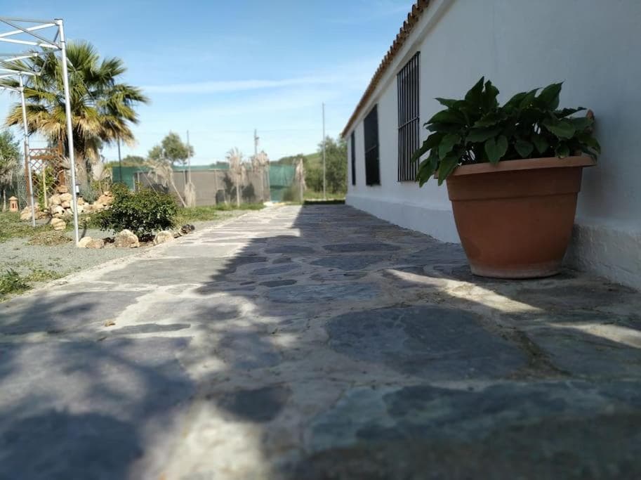 Casa Rural con Piscina y Olivar en Montellano 14